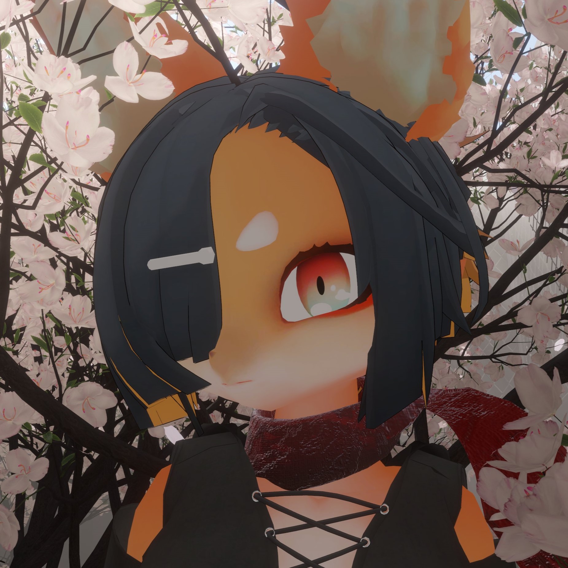 zakk_O5のアイコン